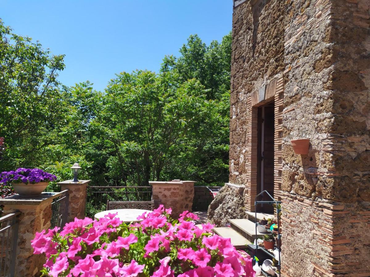 B&B Il Giardino Del Borgo Veiano Exterior foto